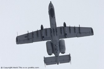145_sanicole.jpg