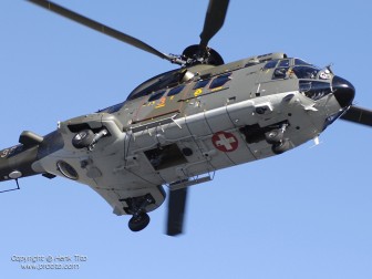 HTO1385.jpg