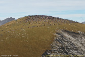 HTI_1861.jpg