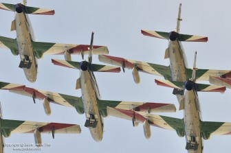 DSC_2313.jpg DSC_2313.jpg