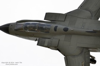 DSC_2484.jpg DSC_2484.jpg