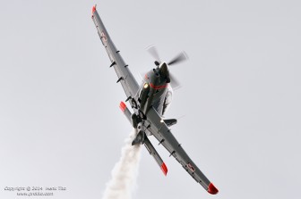DSC_2544.jpg DSC_2544.jpg