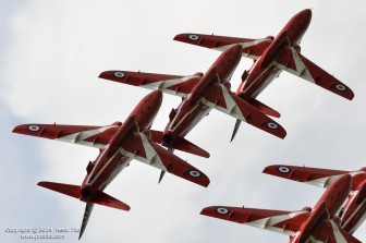 DSC_2639.jpg DSC_2639.jpg