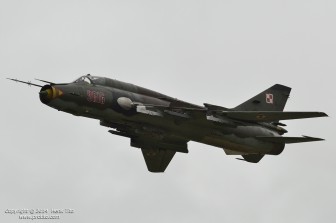 DSC_3222.jpg DSC_3222.jpg
