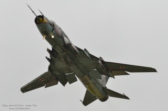 DSC_3238.jpg DSC_3238.jpg