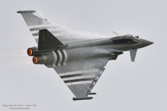 DSC_3337.jpg DSC_3337.jpg