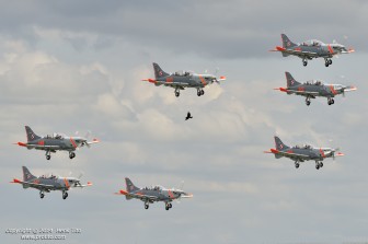 DSC_3736.jpg DSC_3736.jpg