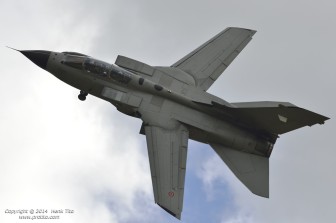 DSC_3834.jpg DSC_3834.jpg