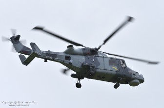 HTI_5597.jpg HTI_5597.jpg