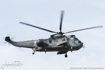 DSC_7993.jpg