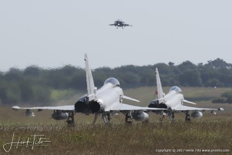 DSC_8484.jpg