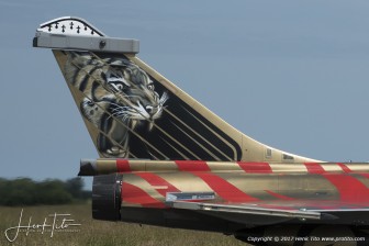 HTI_0255.jpg