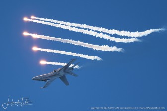 DSC_1964.jpg