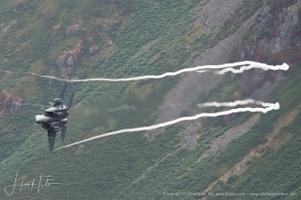 DSC_4665.jpg
