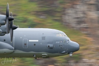 DSC_5303.jpg