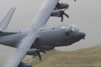 DSC_5345.jpg