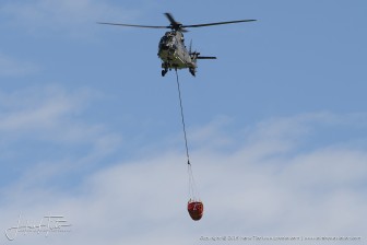DSC_6555.jpg