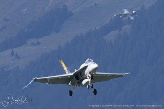 DSC_6818.jpg
