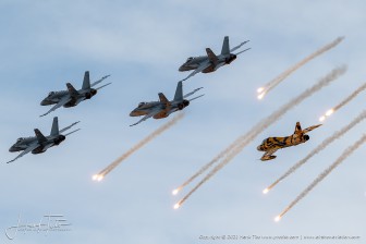 _HDC3612.jpg