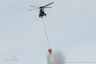 _HDC3706.jpg